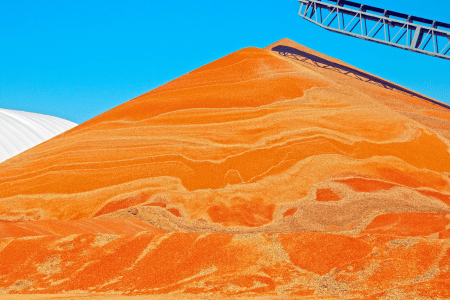 sorghum pile