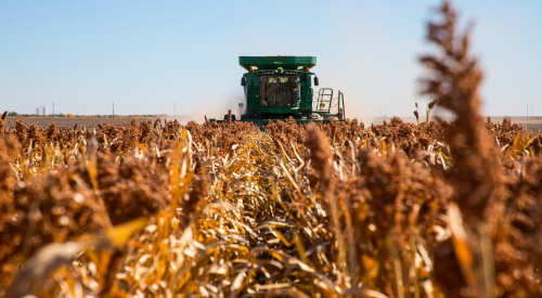 Photo of a John Deere Combine harvesting grain sorghum at the Agricultural Research Center-Hays