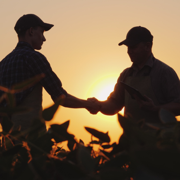 photo of two farmers in a field