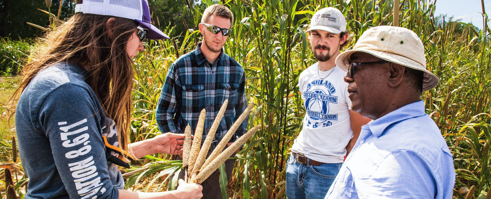 photo of Ram, a millet breeder, discussing varietal differences with agricultural technicians