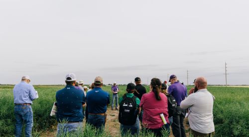 Michael Stamm speaks to a group of farmers, industry specialists, and educators at a canola field day in Garden City