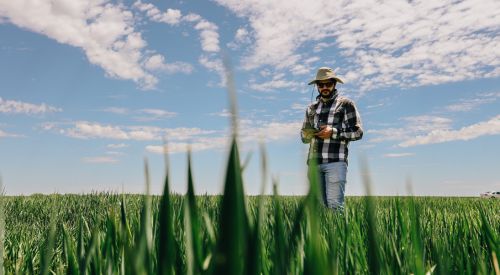 Grad Student standing in wheat field 