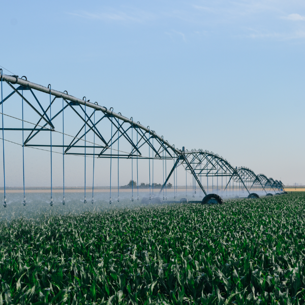 photo of an irrigation pivot